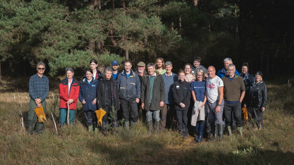 Group of volunteers on heathland with tools